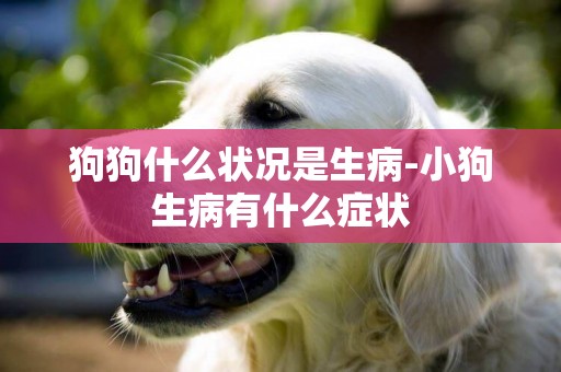 狗狗什么狀況是生病-小狗生病有什么癥狀