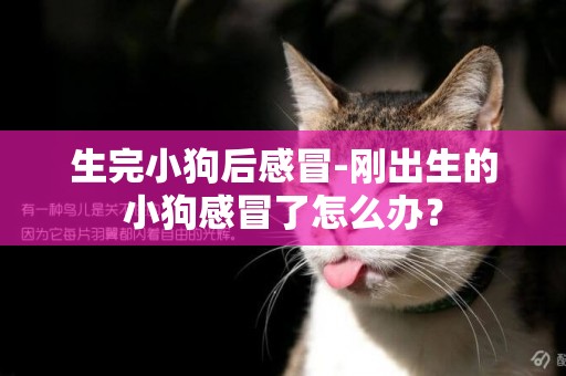 生完小狗后感冒-剛出生的小狗感冒了怎么辦？