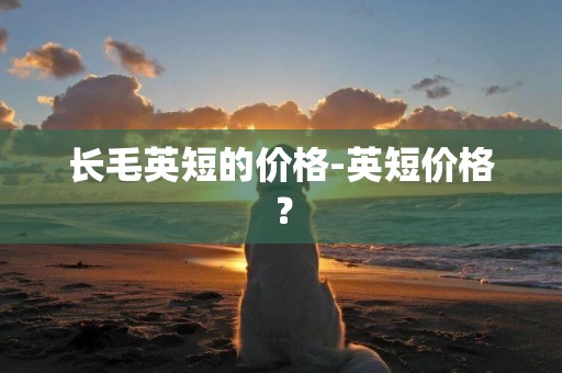 長毛英短的價格-英短價格？