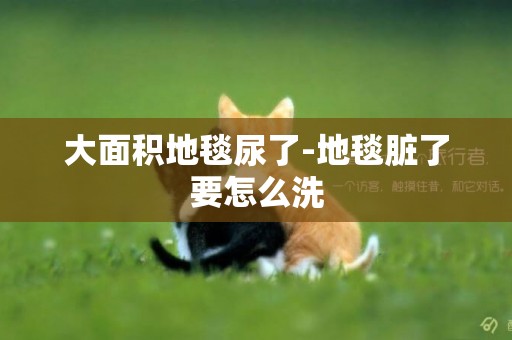 大面積地毯尿了-地毯臟了要怎么洗