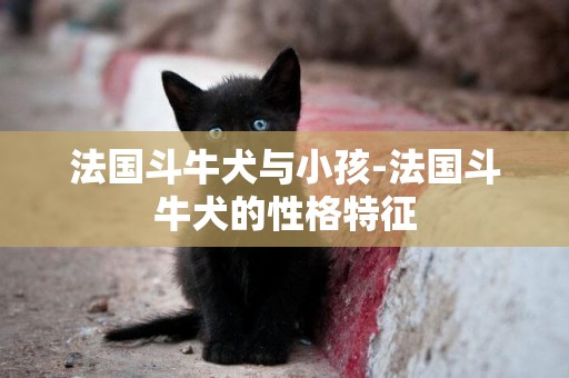 法國斗牛犬與小孩-法國斗牛犬的性格特征