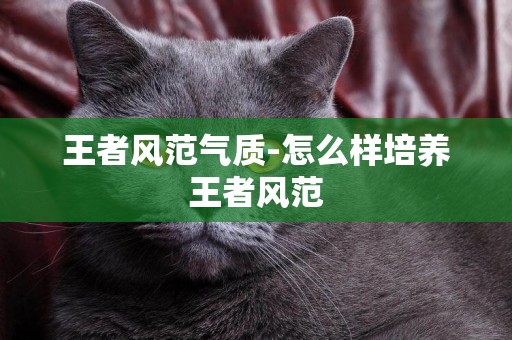 王者風范氣質-怎么樣培養王者風范