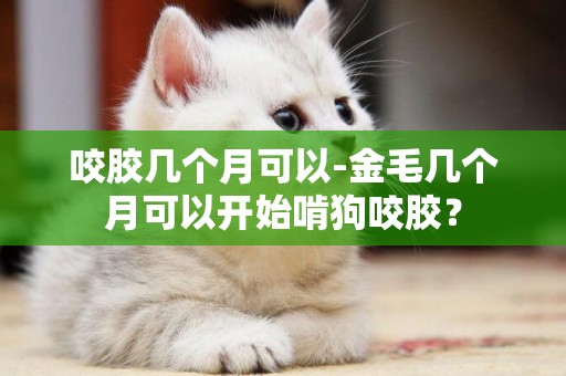 咬膠幾個月可以-金毛幾個月可以開始啃狗咬膠？