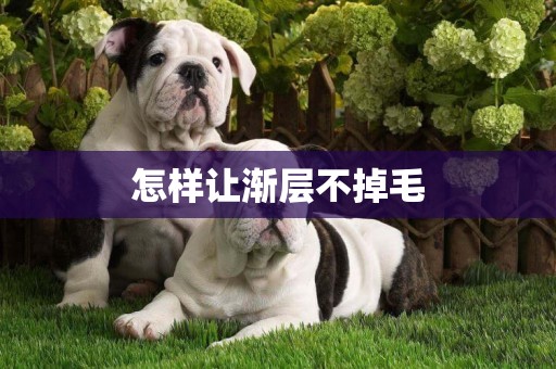 怎樣讓漸層不掉毛