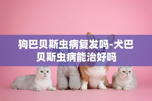 狗巴貝斯蟲病復發嗎-犬巴貝斯蟲病能治好嗎