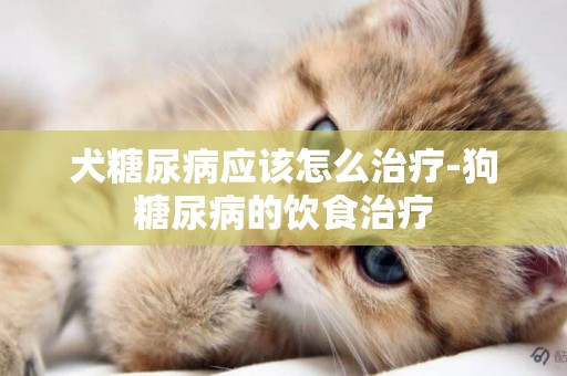 犬糖尿病應該怎么治療-狗糖尿病的飲食治療