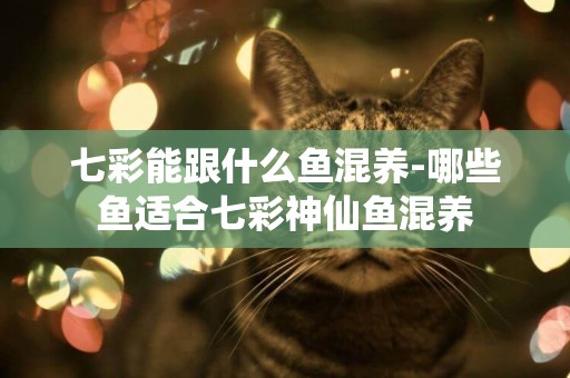 七彩能跟什么魚混養-哪些魚適合七彩神仙魚混養