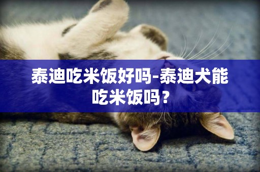 泰迪吃米飯好嗎-泰迪犬能吃米飯嗎？