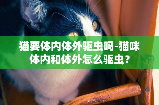 貓要體內體外驅蟲嗎-貓咪體內和體外怎么驅蟲？