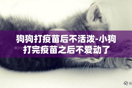 狗狗打疫苗后不活潑-小狗打完疫苗之后不愛動了