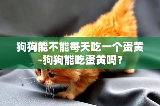 狗狗能不能每天吃一個蛋黃-狗狗能吃蛋黃嗎？