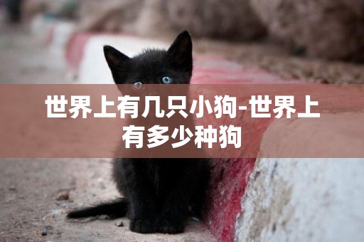 世界上有幾只小狗-世界上有多少種狗