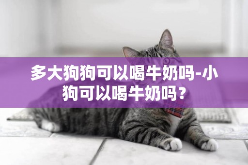 多大狗狗可以喝牛奶嗎-小狗可以喝牛奶嗎？