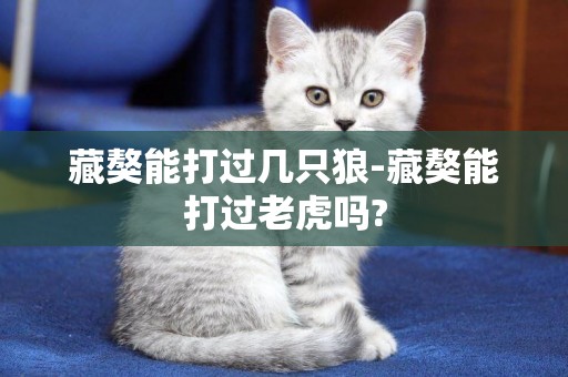 藏獒能打過幾只狼-藏獒能打過老虎嗎?