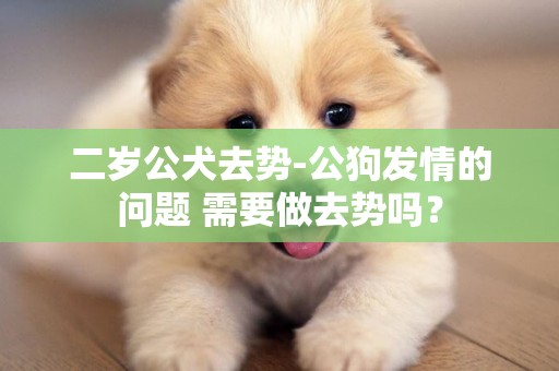 二歲公犬去勢-公狗發情的問題 需要做去勢嗎？