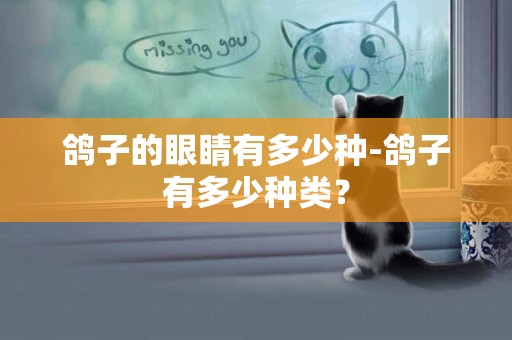 鴿子的眼睛有多少種-鴿子有多少種類？