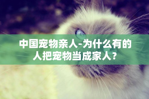 中國寵物親人-為什么有的人把寵物當成家人？