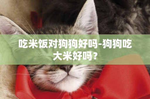 吃米飯對狗狗好嗎-狗狗吃大米好嗎？