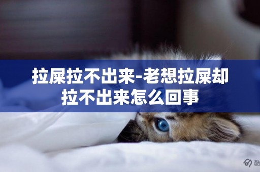 拉屎拉不出來-老想拉屎卻拉不出來怎么回事