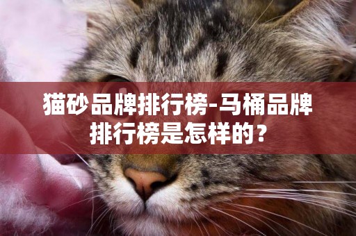 貓砂品牌排行榜-馬桶品牌排行榜是怎樣的？