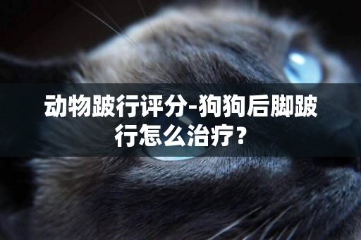 動物跛行評分-狗狗后腳跛行怎么治療？