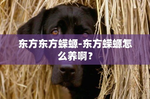 東方東方蠑螈-東方蠑螈怎么養啊？