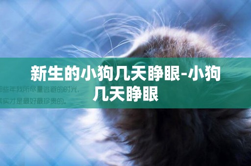 新生的小狗幾天睜眼-小狗幾天睜眼