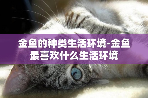 金魚的種類生活環境-金魚最喜歡什么生活環境