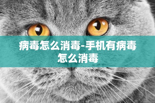 病毒怎么消毒-手機有病毒怎么消毒