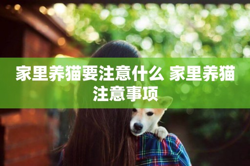 家里養貓要注意什么 家里養貓注意事項