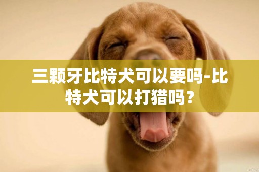 三顆牙比特犬可以要嗎-比特犬可以打獵嗎？
