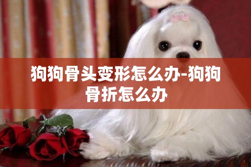 狗狗骨頭變形怎么辦-狗狗骨折怎么辦