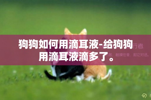 狗狗如何用滴耳液-給狗狗用滴耳液滴多了。
