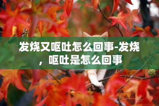 發燒又嘔吐怎么回事-發燒，嘔吐是怎么回事