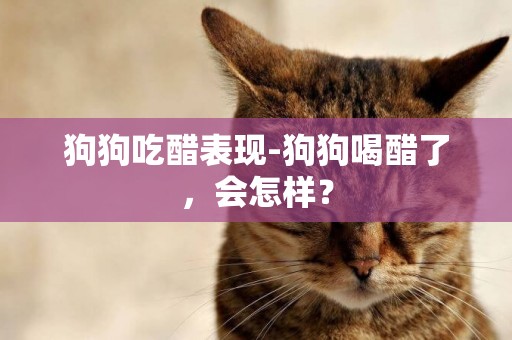 狗狗吃醋表現-狗狗喝醋了，會怎樣？