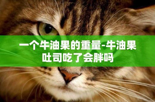 一個牛油果的重量-牛油果吐司吃了會胖嗎