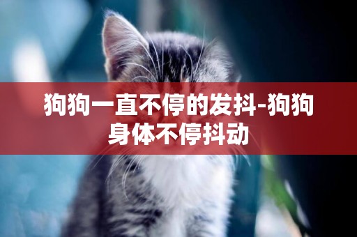 狗狗一直不停的發抖-狗狗身體不停抖動