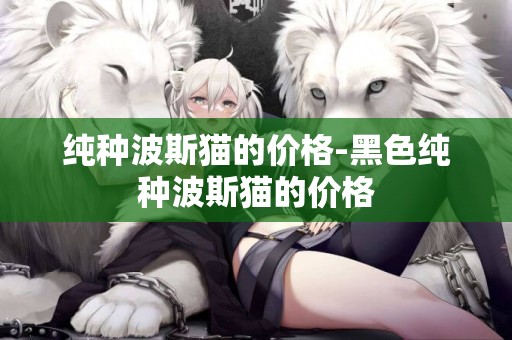 純種波斯貓的價格-黑色純種波斯貓的價格