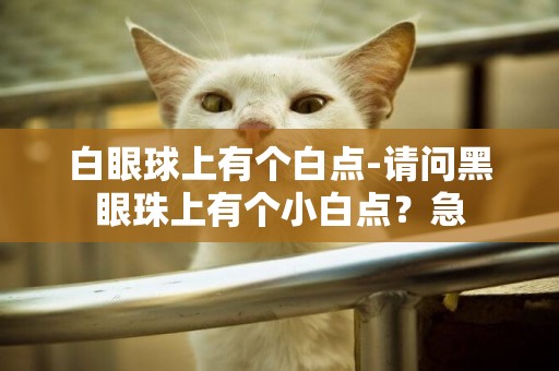白眼球上有個白點-請問黑眼珠上有個小白點？急