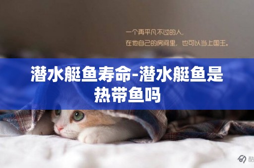 潛水艇魚壽命-潛水艇魚是熱帶魚嗎