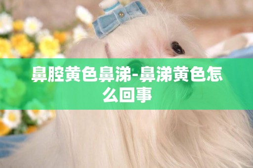 鼻腔黃色鼻涕-鼻涕黃色怎么回事