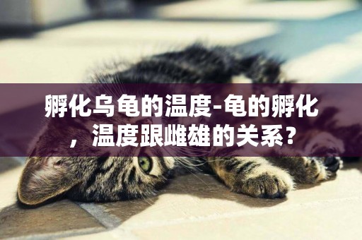 孵化烏龜的溫度-龜的孵化，溫度跟雌雄的關系？