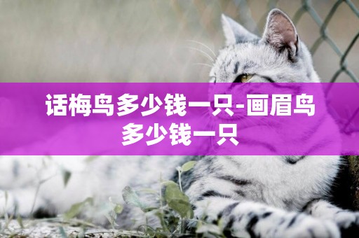 話梅鳥多少錢一只-畫眉鳥多少錢一只