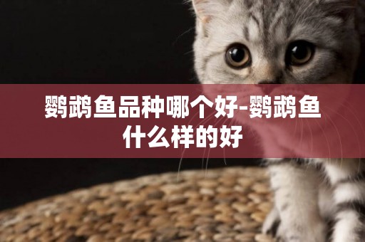 鸚鵡魚品種哪個好-鸚鵡魚什么樣的好