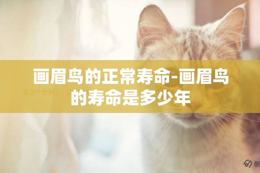 畫眉鳥的正常壽命-畫眉鳥的壽命是多少年