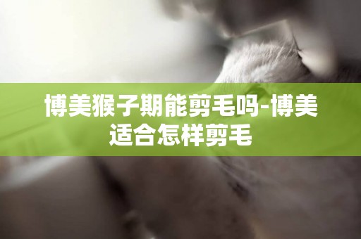 博美猴子期能剪毛嗎-博美適合怎樣剪毛