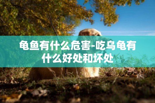 龜魚有什么危害-吃烏龜有什么好處和壞處