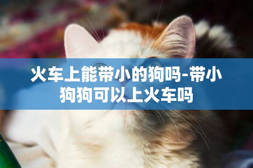 火車上能帶小的狗嗎-帶小狗狗可以上火車嗎