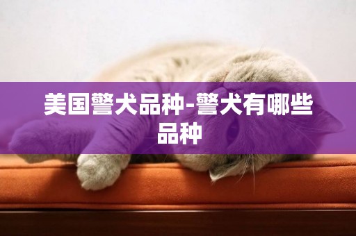 美國警犬品種-警犬有哪些品種