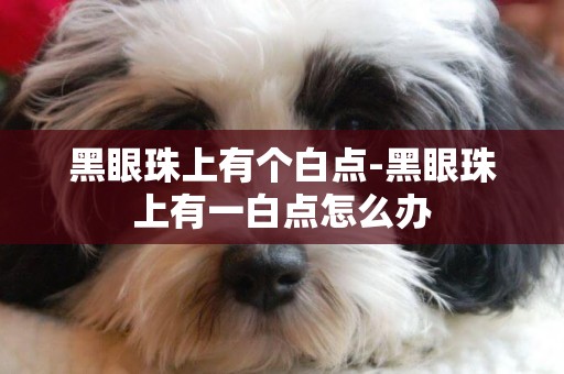 黑眼珠上有個白點-黑眼珠上有一白點怎么辦